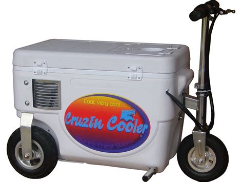 electric scooter cooler box|cruzin cooler scooter.